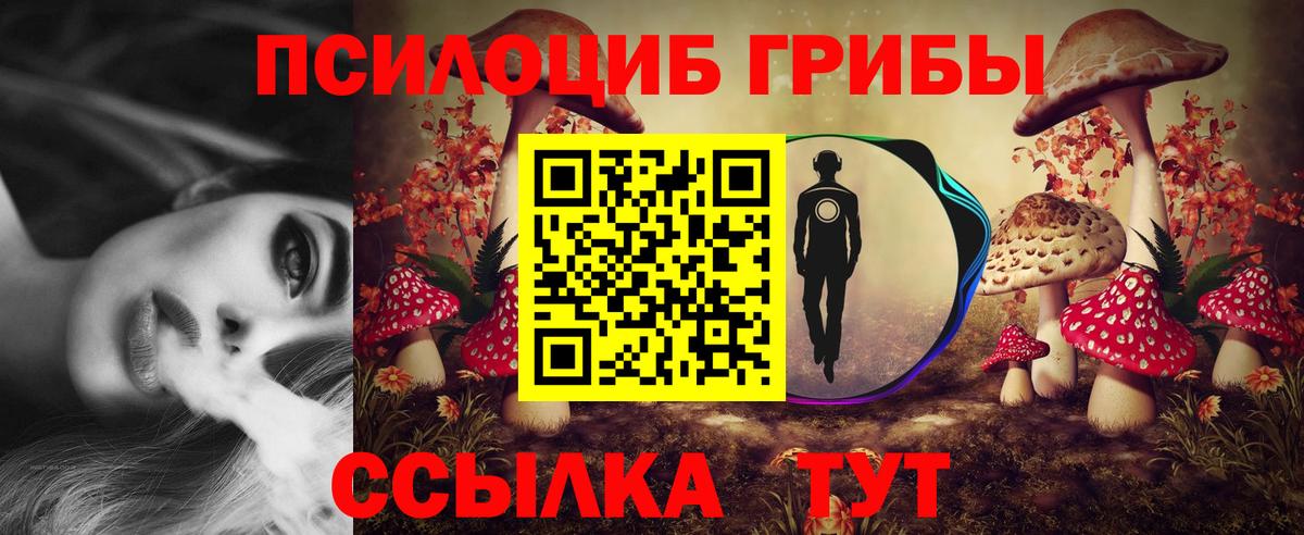 Псилоцибиновые грибы мицелий Дедовск