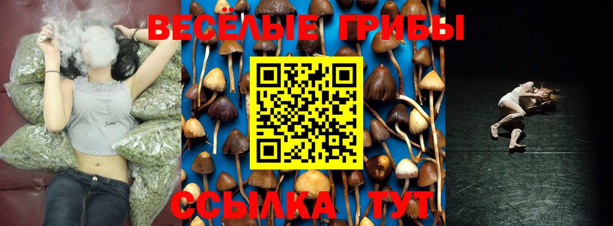 Дедовск  Галлюциногенные грибы Psilocybe  Вход с VPN  Псилоцибиновые грибы мицелий 